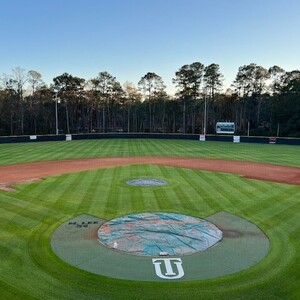 Team Page: TU Baseball